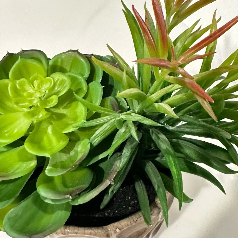 Ceramic Potted Faux Succulents Artificial Plant Decor